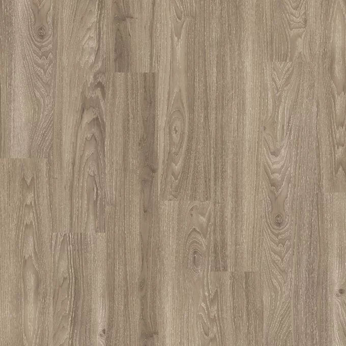 Light Elm 4034