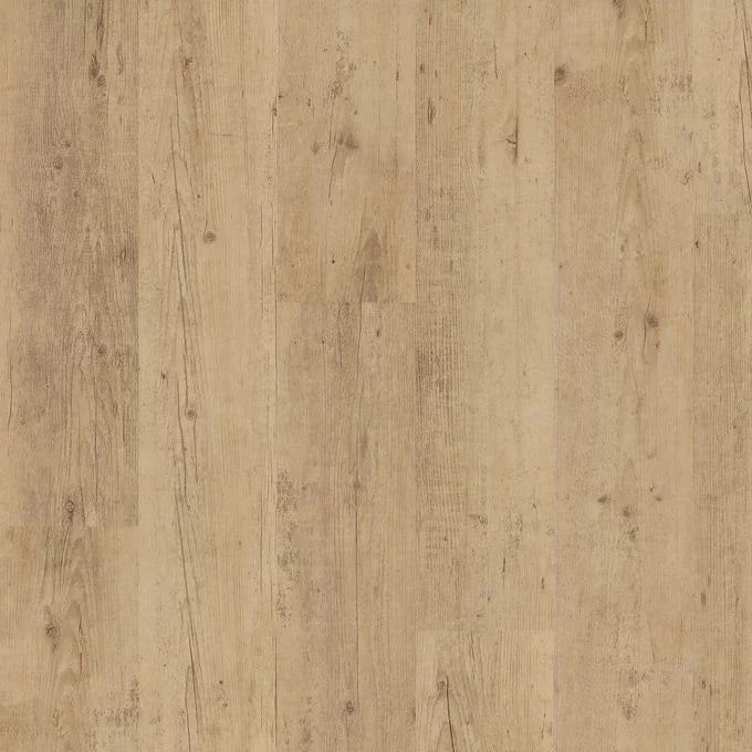 Shoreline Oak 4078