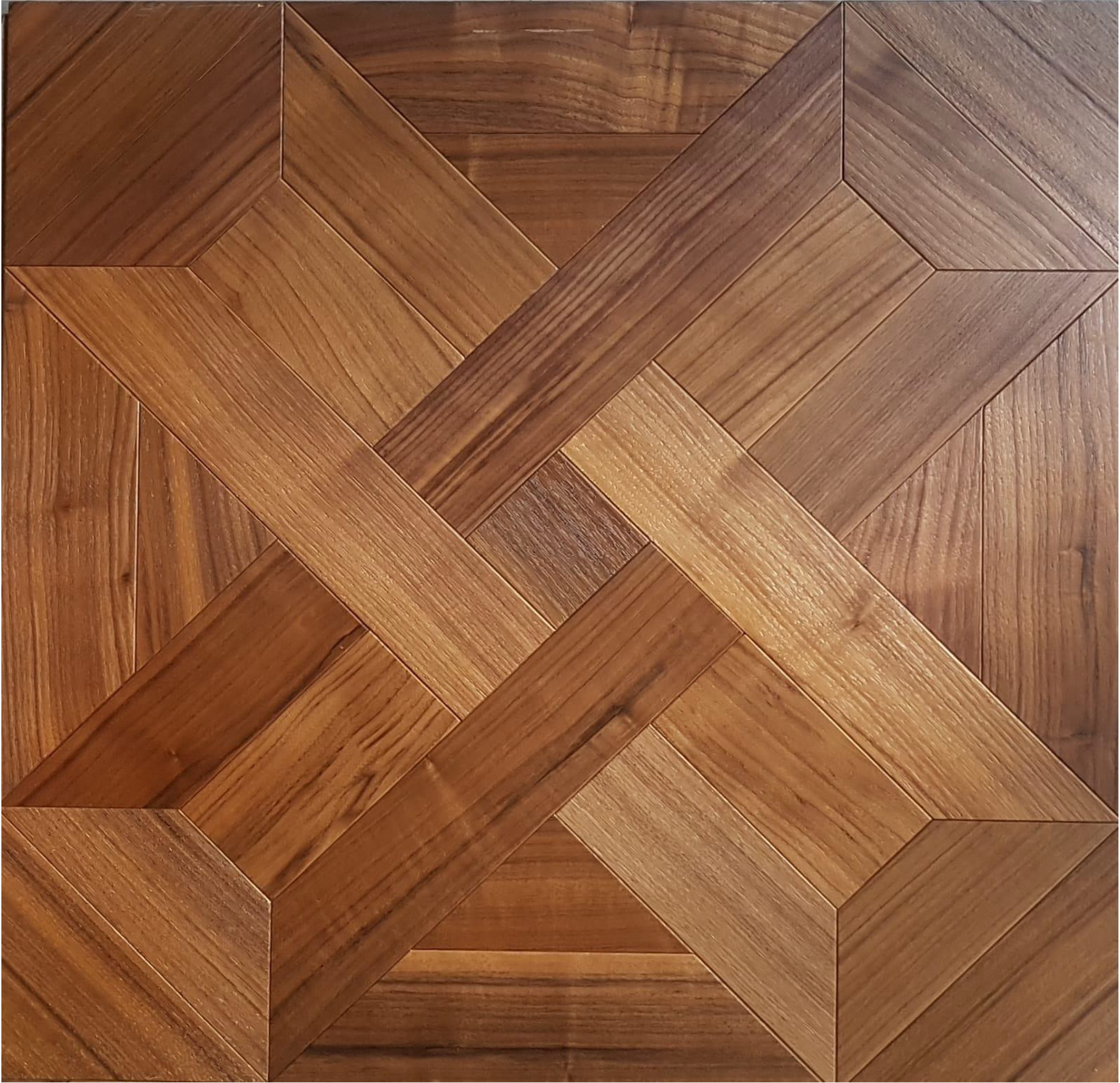GLADIOLUS BLACK WALNUT SELECT