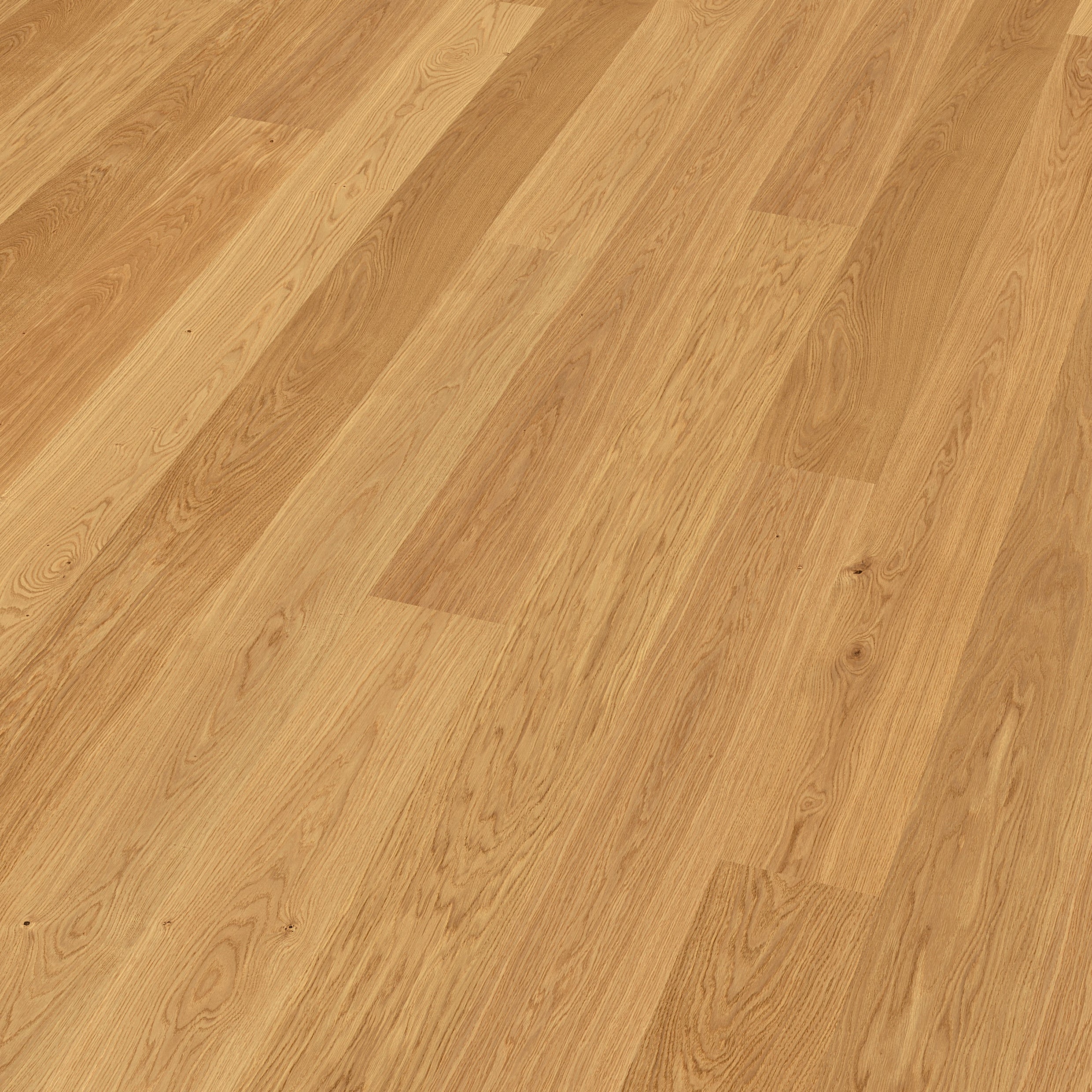 OAK NATURA