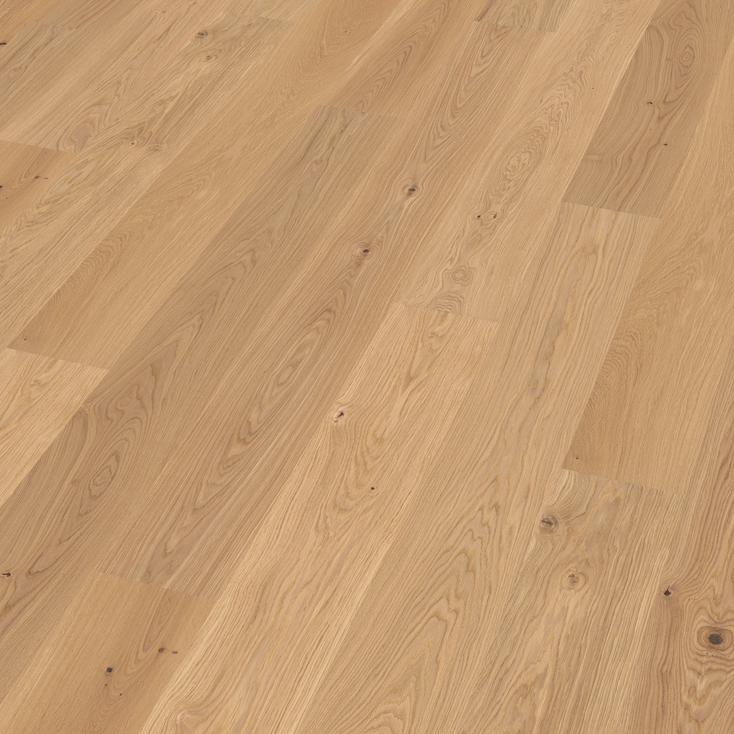 OAK PERLA