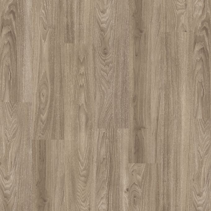 Light Elm 6182